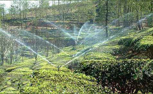 土壤墑情自動監(jiān)測站茶園灌溉中能發(fā)揮什么作用？